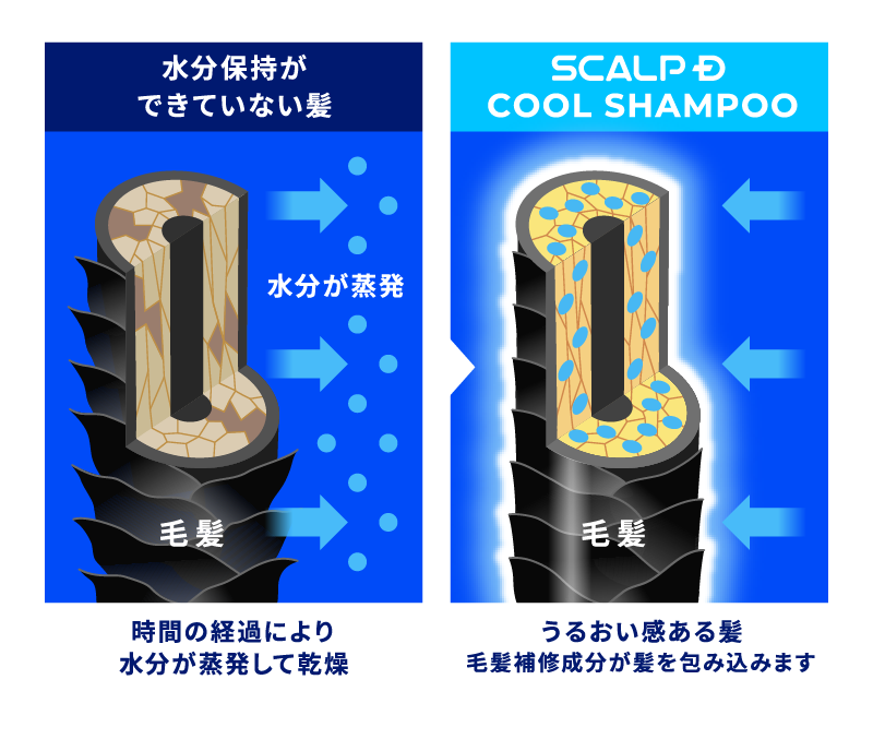 スカルプD クールシャンプー効果イメージ