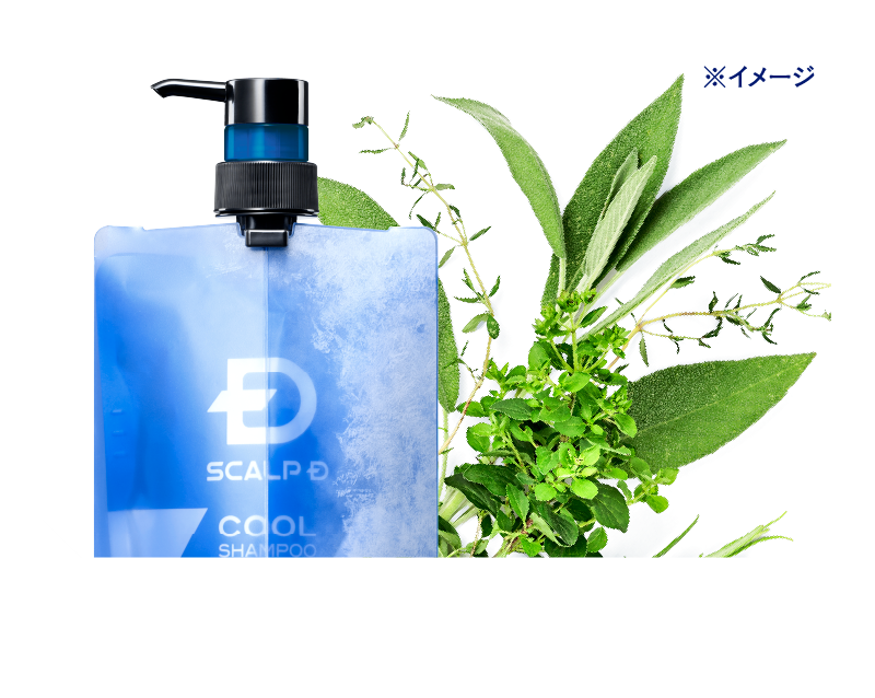 スカルプDクールシャンプー効果イメージ