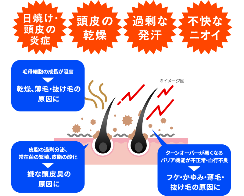 日焼け・頭皮の炎症　過剰な発汗　頭皮の乾燥　不快なニオイ