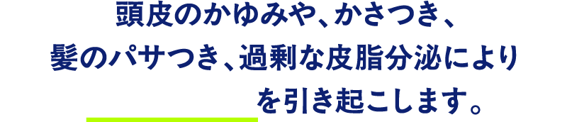 頭皮のかゆみや、かさつき、髪のパサつき、過剰な皮脂分泌により不快なニオイを引き起こします。
