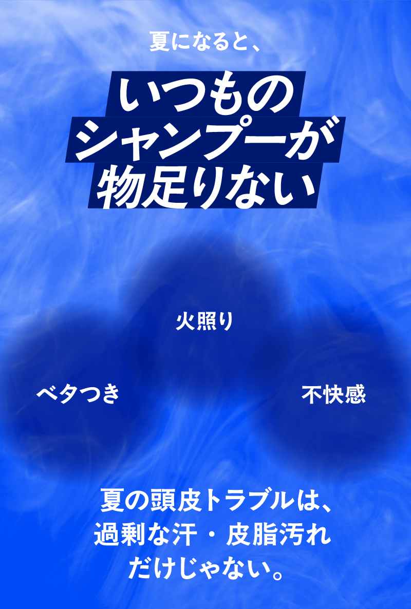 夏になると、いつものシャンプーが物足りない　べたつき、火照り、不快感 夏の頭皮トラブルは、過剰な汗・皮脂汚れだけじゃない。