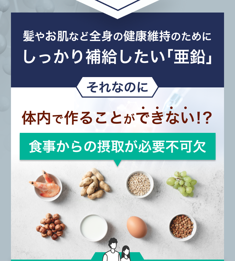 亜鉛は体内で作ることができない！？