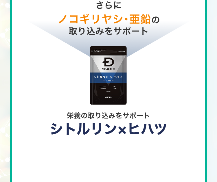 シトルリン×ヒハツ