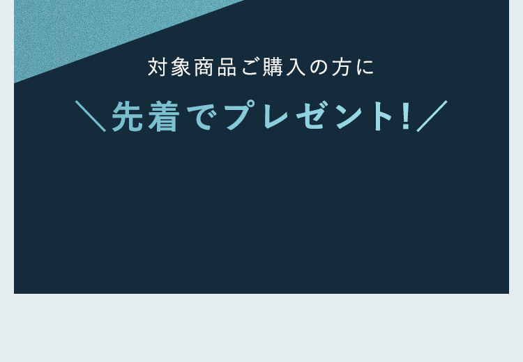 対象商品ご購入の方に ＼先着でプレゼント!／