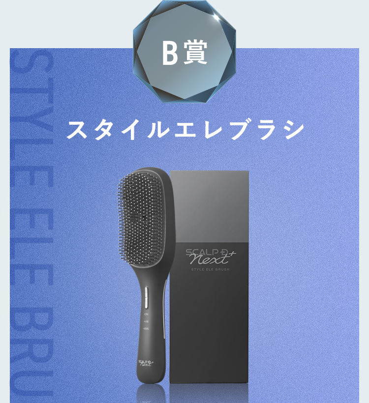 B賞：スタイルエレブラシ