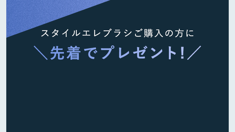 スタイルエレブラシご購入の方に ＼先着でプレゼント!／
