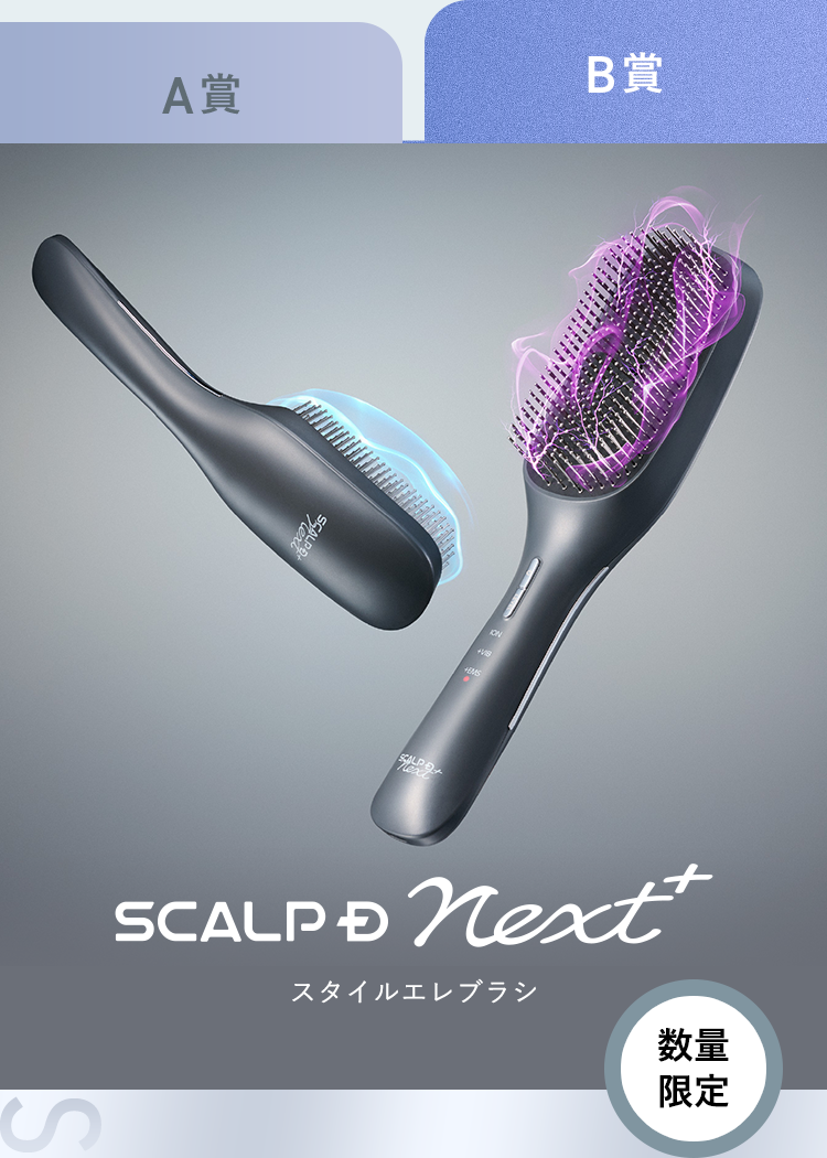 B賞：SCALP D NEXT+ スタイルエレブラシ【数量限定】