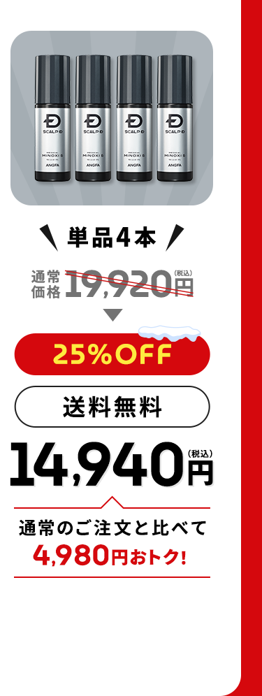 ＼単品4本／通常価格19,920円（税込）→【25%OFF】【送料無料】14,940円（税込）通常のご注文と比べて4,980円おトク！