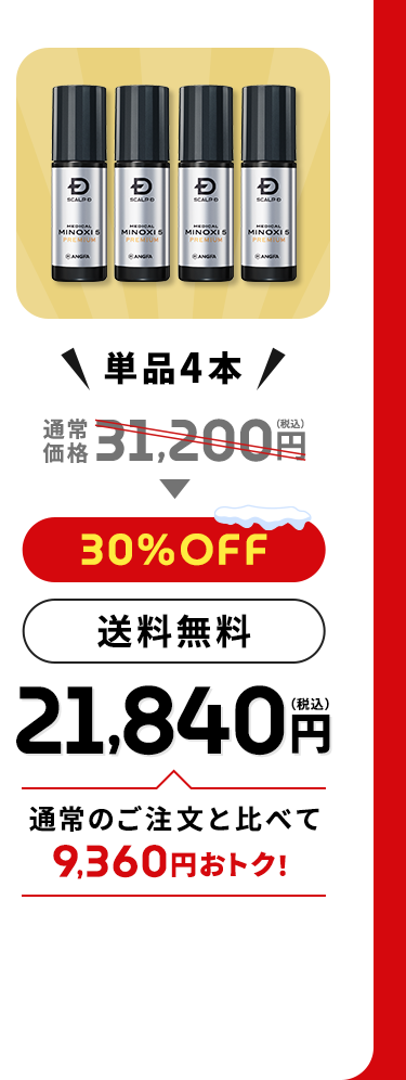 ＼単品4本／通常価格31,200円（税込）→【30%OFF】【送料無料】21,840円（税込）通常のご注文と比べて9,360円おトク！