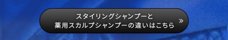 スタイリングシャンプーとは