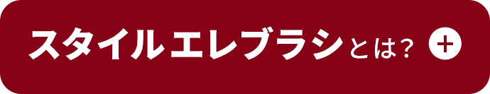 スタイルエレブラシとは？