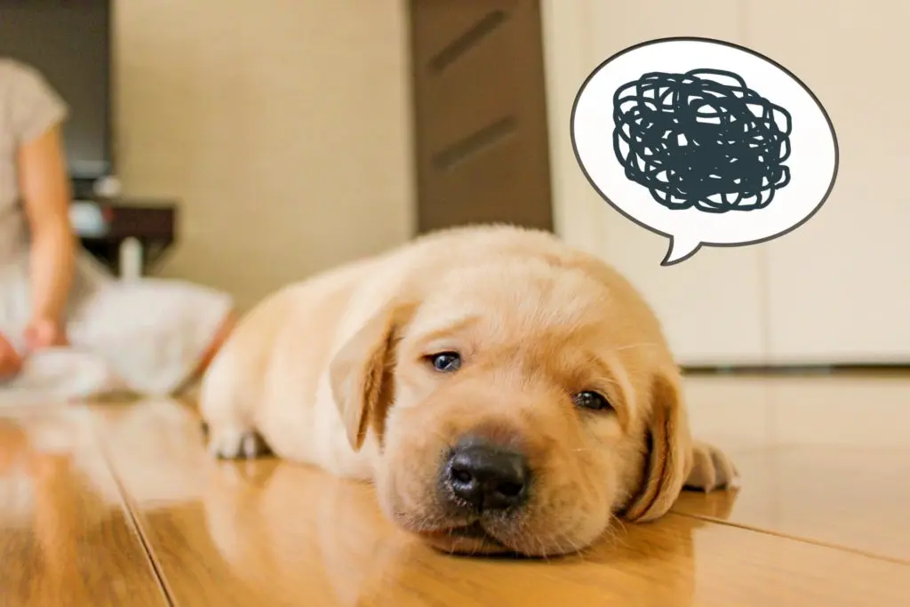 ミノキシジルの副作用の１つ、頭痛について／ミノキシジルで頭痛が起きる？