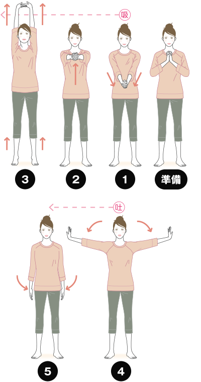 肩甲骨を動かす運動の図