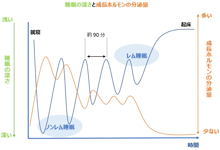 睡眠不足